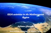 EEA activities in the Mediterranean Region