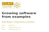 Growing software from examples