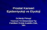 Prostat Kanseri Epidemiyoloji ve Etyoloji