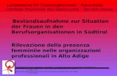 Bestandsaufnahme zur Situation der Frauen in den Berufsorganisationen in Südtirol