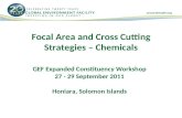 Focal Area and Cross Cutting Strategies – Chemicals