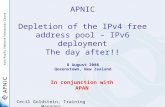 APNIC Depletion of the IPv4 free address pool – IPv6 deployment The day after!!