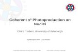 Coherent  p 0  Photoproduction on Nuclei