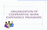 ORGANIZATION OF COOPERATIVE WORK EXPERIENCE PROGRAMS