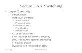 Secure LAN Switching
