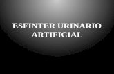 ESFINTER URINARIO ARTIFICIAL