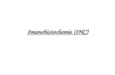 Imunohistochemie (IHC)