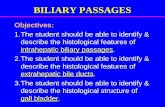 BILIARY PASSAGES