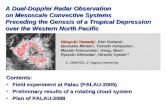 Contents: Field experiment at Palau (PALAU-2005) Preliminary results of a rotating cloud system
