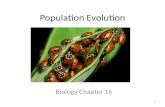 Population Evolution
