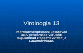 Viroloogia 13