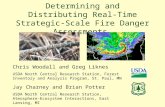 Determining and Distributing Real-Time Strategic-Scale Fire Danger Assessments