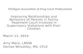 Michigan Association of Drug Court Professionals
