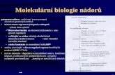 Molekulární biologie nádorů