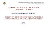 ESTADO DE AVANCE DEL MARCO TARIFARIO DE ASEO MAURICIO MILLAN DREWS