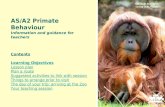 AS/A2 Primate Behaviour Information and guidance for teachers Contents Learning Objectives
