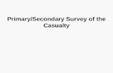 Primary/Secondary Survey of the Casualty