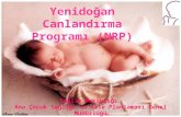 Yenidoğan Canlandırma Programı (NRP)