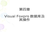 第四章 Visual Foxpro 数据库及其操作