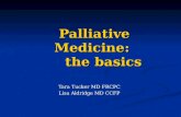 Palliative Medicine:  the basics