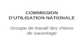 COMMISSION D’UTILISATION NATIONALE Groupe de travail des chiens de sauvetage