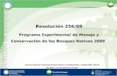 Resolución 256/09 Programa Experimental de Manejo y Conservación de los Bosques Nativos 2009