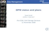 DPM status and plans
