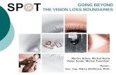 GO ING BEYOND THE VISION LOSS BOUNDARIES