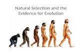 Natural Selection and the Evidence for Evolution