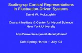 Scaling-up Cortical Representations in Fluctuation-Driven Systems