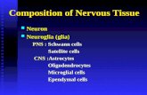 Neuron  N euroglia (glia) PNS :  Schwann cells                S atellite cells CNS : Astrocytes