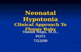 Neonatal Hypotonia Clinical Approach To Floppy Baby
