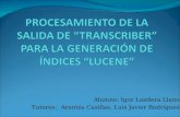 Alumno: Igor Landera Llano Tutores:  Arantza Casillas, Luis Javier Rodríguez