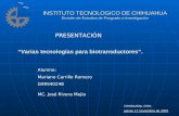 INSTITUTO TECNOLOGICO DE CHIHUAHUA División de Estudios de Posgrado e Investigación