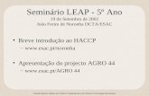 Seminário LEAP - 5º Ano 19 de Setembro de 2002 João Freire de Noronha DCTA/ESAC