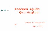 Abdomen Agudo   Quirúrgico Unidad de Emergencias HC.          Año - 2012