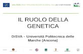 Il ruolo della genetica DiSVA – Università Politecnica delle Marche (Ancona)