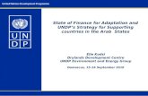 State of Finance for Adaptation and UNDP’s Strategy for Supporting countries in the Arab  States