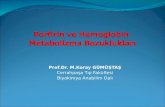 Porfirin  ve  Hemoglobin   Metabolizma Bozuklukları