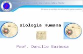 Fisiologia Humana II