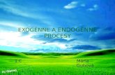 Exogénne a  Endogénne  procesy