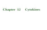 Chapter  12     Cytokines