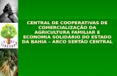 ARCO SERTÃO CENTRAL Constituída em 19 de maio de 2011;