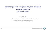 Bioenergy LCA analysis: Beyond biofuels Expert meeting 10 June 2008 Andr é Jol