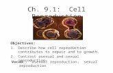 Ch. 9.1:  Cell Reproduction
