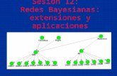 Sesión 12:   Redes Bayesianas: extensiones y aplicaciones