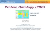 Protein Ontology (PRO)