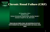 Chronic Renal Failure (CRF)