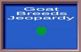 Goat  Breeds Jeopardy