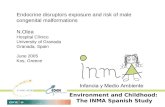 Endocrine disruptors exposure and risk of male congenital malformations N.Olea Hospital Clínico